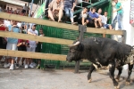 El primer encierro de Les Penyes en festes deja cinco heridos