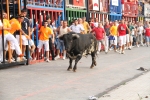 El primer encierro de Les Penyes en festes deja cinco heridos