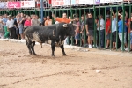 El primer encierro de Les Penyes en festes deja cinco heridos