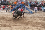 El primer encierro de Les Penyes en festes deja cinco heridos