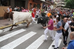 El primer encierro de Les Penyes en festes deja cinco heridos