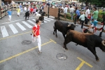 El segundo encierro de LEs Penyes en Festes de La Vall, rápido y sin incidentes