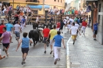 El segundo encierro de LEs Penyes en Festes de La Vall, rápido y sin incidentes