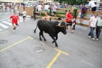 El segundo encierro de LEs Penyes en Festes de La Vall, rápido y sin incidentes