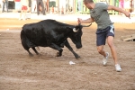 El segundo encierro de LEs Penyes en Festes de La Vall, rápido y sin incidentes