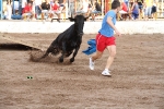 El segundo encierro de LEs Penyes en Festes de La Vall, rápido y sin incidentes