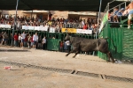 El segundo encierro de LEs Penyes en Festes de La Vall, rápido y sin incidentes