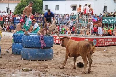 Fotografia /Gallery/53029_28106/3_M1.jpg