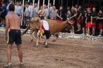 Jaume Doménech logra 94 puntos en el primer día del concurso de ganadería de Les Penyes en Festes