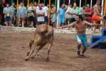 Jaume Doménech logra 94 puntos en el primer día del concurso de ganadería de Les Penyes en Festes