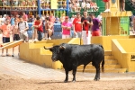 Tres heridos en el tercer encierro de Les Penyes en Festes de La Vall d\'Uixó