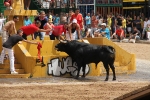 Tres heridos en el tercer encierro de Les Penyes en Festes de La Vall d\'Uixó