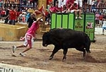 Tres heridos en el tercer encierro de Les Penyes en Festes de La Vall d\'Uixó