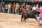 Tres heridos en el tercer encierro de Les Penyes en Festes de La Vall d\'Uixó