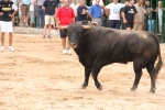 Tres heridos en el tercer encierro de Les Penyes en Festes de La Vall d\'Uixó