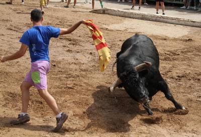 Fotografia /Gallery/53051_28139/2_M1.jpg