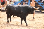 Tres heridos en el tercer encierro de Les Penyes en Festes de La Vall d\'Uixó