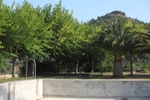 Fotografia /Gallery/53600_28411/2_M1.jpg