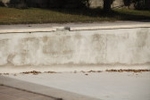 Fotografia /Gallery/53600_28411/5_M1.jpg