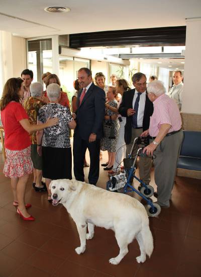 Fotografia /Gallery/54372_28827/5_M1.jpg