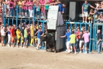 Las exhibiciones taurinas de la Misericòrdia arrancan con un lituano herido por asta de toro