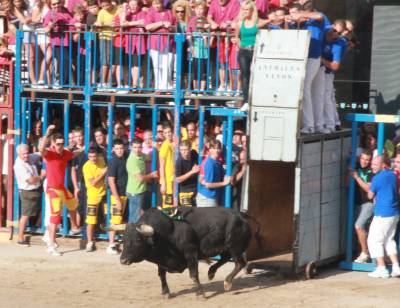 Las exhibiciones taurinas de la Misericrdia arrancan con un lituano herido por asta de toro