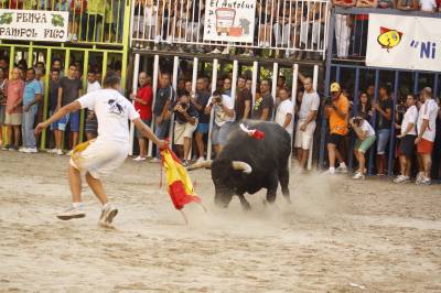 Fotografia /Gallery/54485_28896/5_M1.jpg