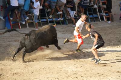 Fotografia /Gallery/54485_28896/6_M1.jpg