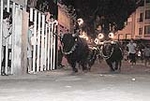 El encierro de toros embolados congrega a multitud de aficionados