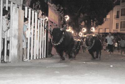 El encierro de toros embolados congrega a multitud de aficionados