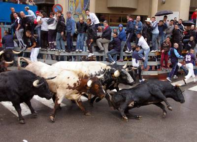 El encierro se hizo de esperar, pero atrajo a cientos de aficionados