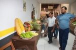 Nules inaugura su 65º feria de ganadería y maquinaria agrícola 