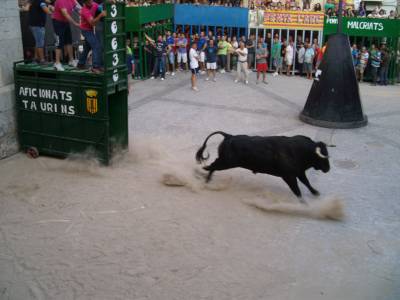 Arrancan los festejos taurinos en Figueroles 2011