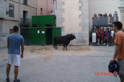 Fotografia /Gallery/54997_29163/2_M1.jpg