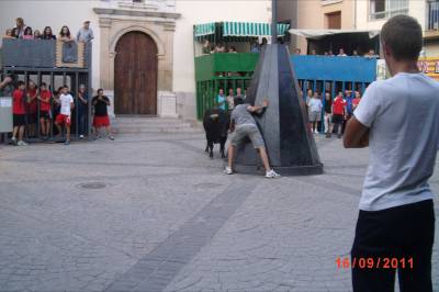 Fotografia /Gallery/54997_29163/3_M1.jpg