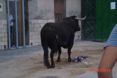 Fotografia /Gallery/54997_29163/4_M1.jpg