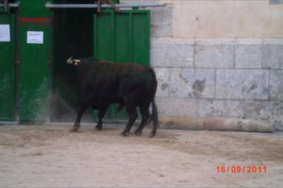 Fotografia /Gallery/54997_29163/5_M1.jpg