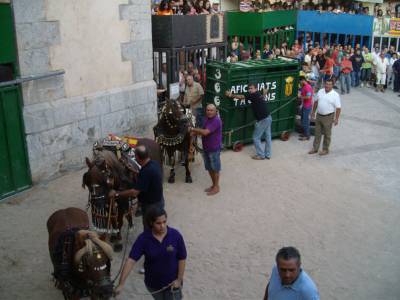 Fotografia /Gallery/54997_29163/6_M1.jpg