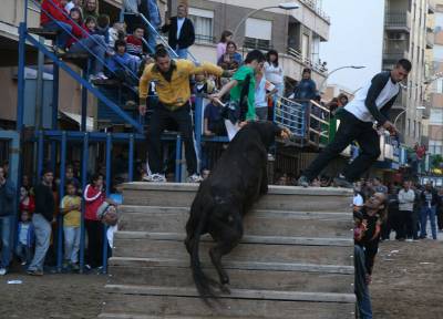 Fotografia /Gallery/5527_3152/2_M1.jpg