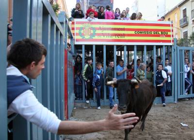 Fotografia /Gallery/5527_3152/3_M1.jpg