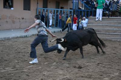 Fotografia /Gallery/5527_3152/5_M1.jpg