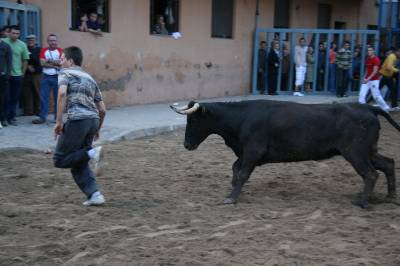 Fotografia /Gallery/5527_3152/6_M1.jpg