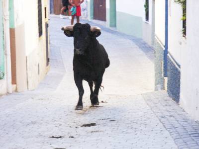 Fotografia /Gallery/55366_29361/3_M1.jpg