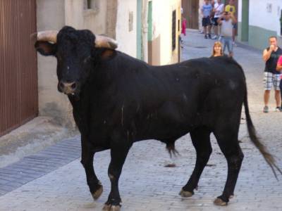 Fotografia /Gallery/55366_29361/4_M1.jpg