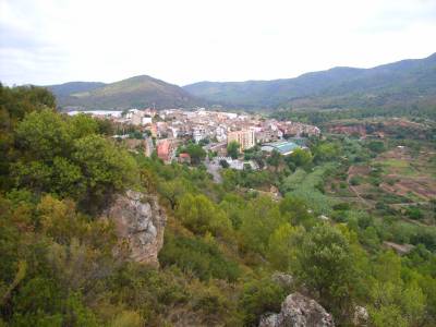 Fotografia /Gallery/55366_29361/5_M1.jpg