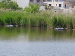 Fotografia /Gallery/5555_3168/2_M1.jpg