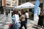 Política y fiestas en la segunda jornada de la Bodeguilla de Tele 7