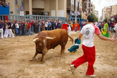 Fotografia /Gallery/5563_3175/3_M1.jpg