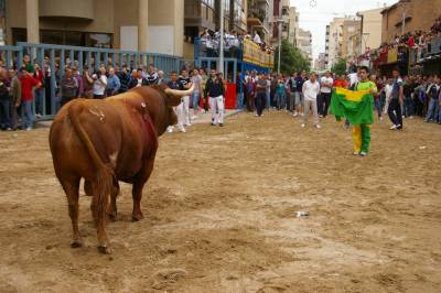 Fotografia /Gallery/5563_3175/4_M1.jpg