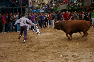 Fotografia /Gallery/5563_3175/6_M1.jpg